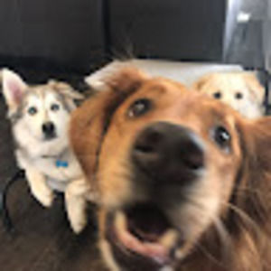 Meet your Posher, Wendy